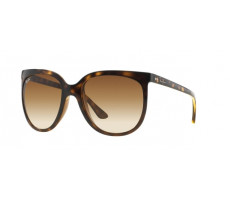 Ray-Ban RB 4126 710/51 ICONS CATS 1000