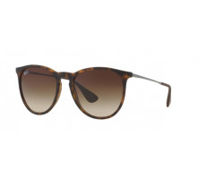 Ray-Ban RB 4171 865/13 YOUNGSTER ERIKA