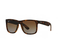 Ray-Ban RB 4165 865/T5 YOUNGSTER JUSTIN POLARIZED